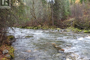 144 Acres South Fork Road - Photo 18