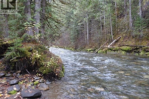 144 Acres South Fork Road - Photo 19