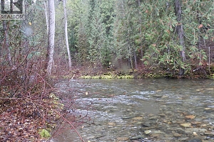 144 Acres South Fork Road - Photo 20