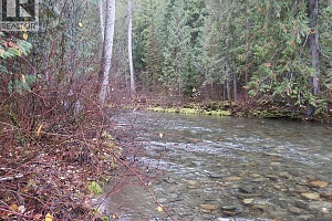 144 Acres South Fork Road - Photo 21