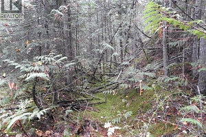 144 Acres South Fork Road - Photo 22