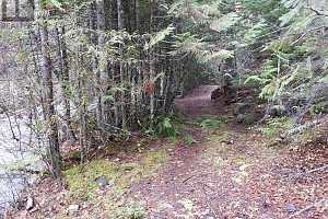 144 Acres South Fork Road - Photo 23