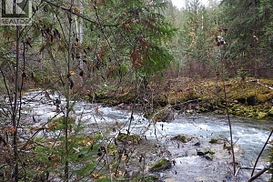 144 Acres South Fork Road - Photo 24