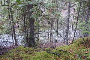 144 Acres South Fork Road - Photo 25