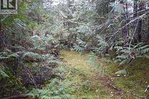 144 Acres South Fork Road - Photo 26