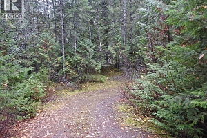 144 Acres South Fork Road - Photo 27