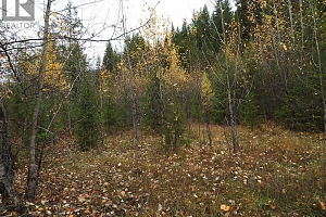 144 Acres South Fork Road - Photo 28