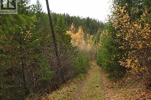 144 Acres South Fork Road - Photo 29