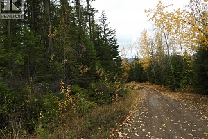 144 Acres South Fork Road - Photo 3