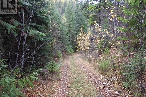 144 Acres South Fork Road - Photo 30