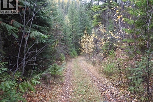 144 Acres South Fork Road - Photo 30