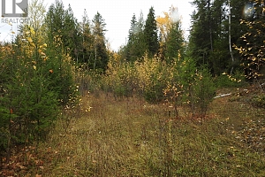 144 Acres South Fork Road - Photo 31