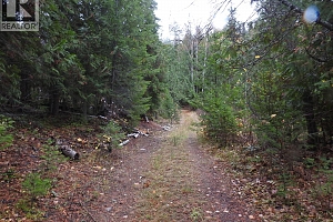 144 Acres South Fork Road - Photo 32