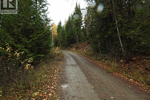 144 Acres South Fork Road - Photo 33