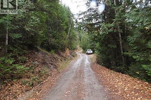 144 Acres South Fork Road - Photo 34