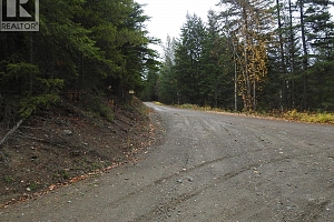 144 Acres South Fork Road - Photo 35