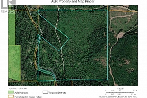 144 Acres South Fork Road - Photo 36