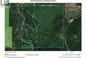 144 Acres South Fork Road - Photo 36