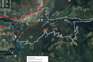 144 Acres South Fork Road - Photo 39