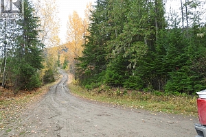 144 Acres South Fork Road - Photo 4