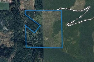 144 Acres South Fork Road - Photo 41