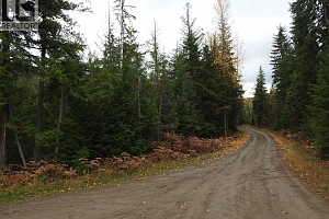 144 Acres South Fork Road - Photo 5