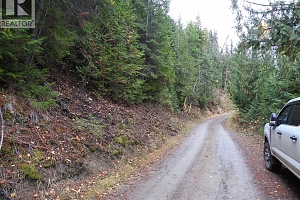 144 Acres South Fork Road - Photo 6