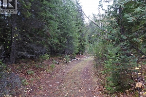 144 Acres South Fork Road - Photo 7