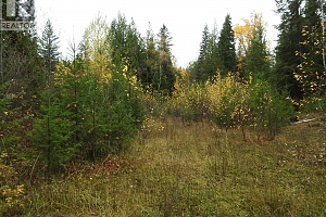 144 Acres South Fork Road - Photo 8