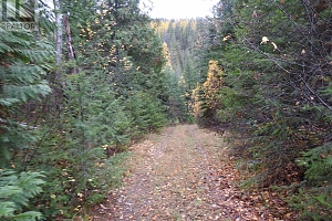 144 Acres South Fork Road - Photo 9