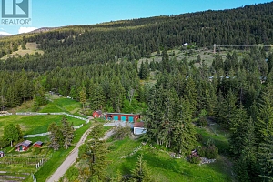 13821 Talbot Road - Photo 4