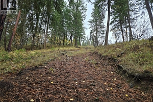 5135 Salmon River Road - Photo 2