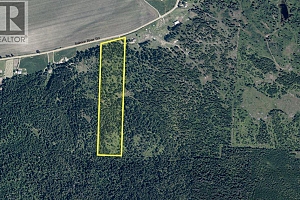 5135 Salmon River Road - Photo 3