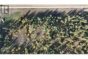 5135 Salmon River Road - Photo 4