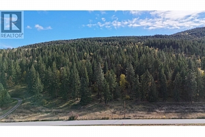 5135 Salmon River Road - Photo 5