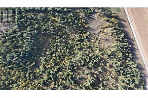 5135 Salmon River Road - Photo 7