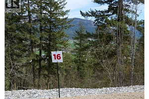 243 Crooked Pine Road - Photo 3