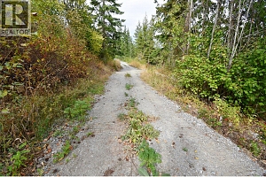 243 Crooked Pine Road - Photo 4