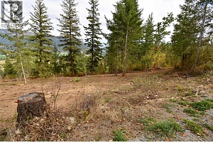 243 Crooked Pine Road - Photo 5