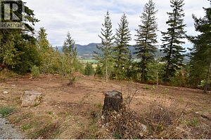 243 Crooked Pine Road - Photo 6