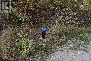 243 Crooked Pine Road - Photo 7