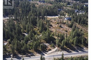 237 Crooked Pine Road - Photo 20