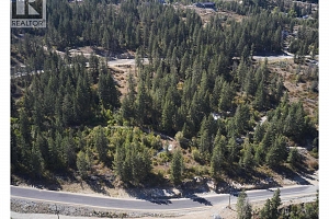 237 Crooked Pine Road - Photo 23