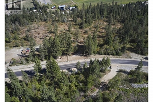 237 Crooked Pine Road - Photo 24