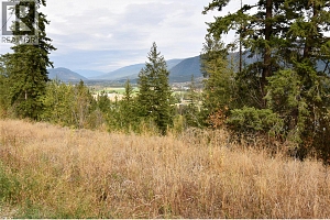 237 Crooked Pine Road - Photo 3