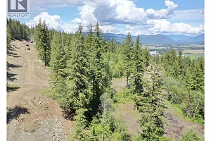 237 Crooked Pine Road - Photo 42