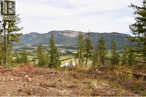 237 Crooked Pine Road - Photo 5