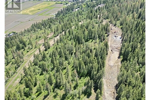 236 Crooked Pine Road - Photo 10