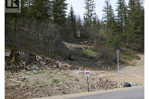 236 Crooked Pine Road - Photo 2