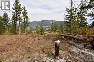 236 Crooked Pine Road - Photo 4